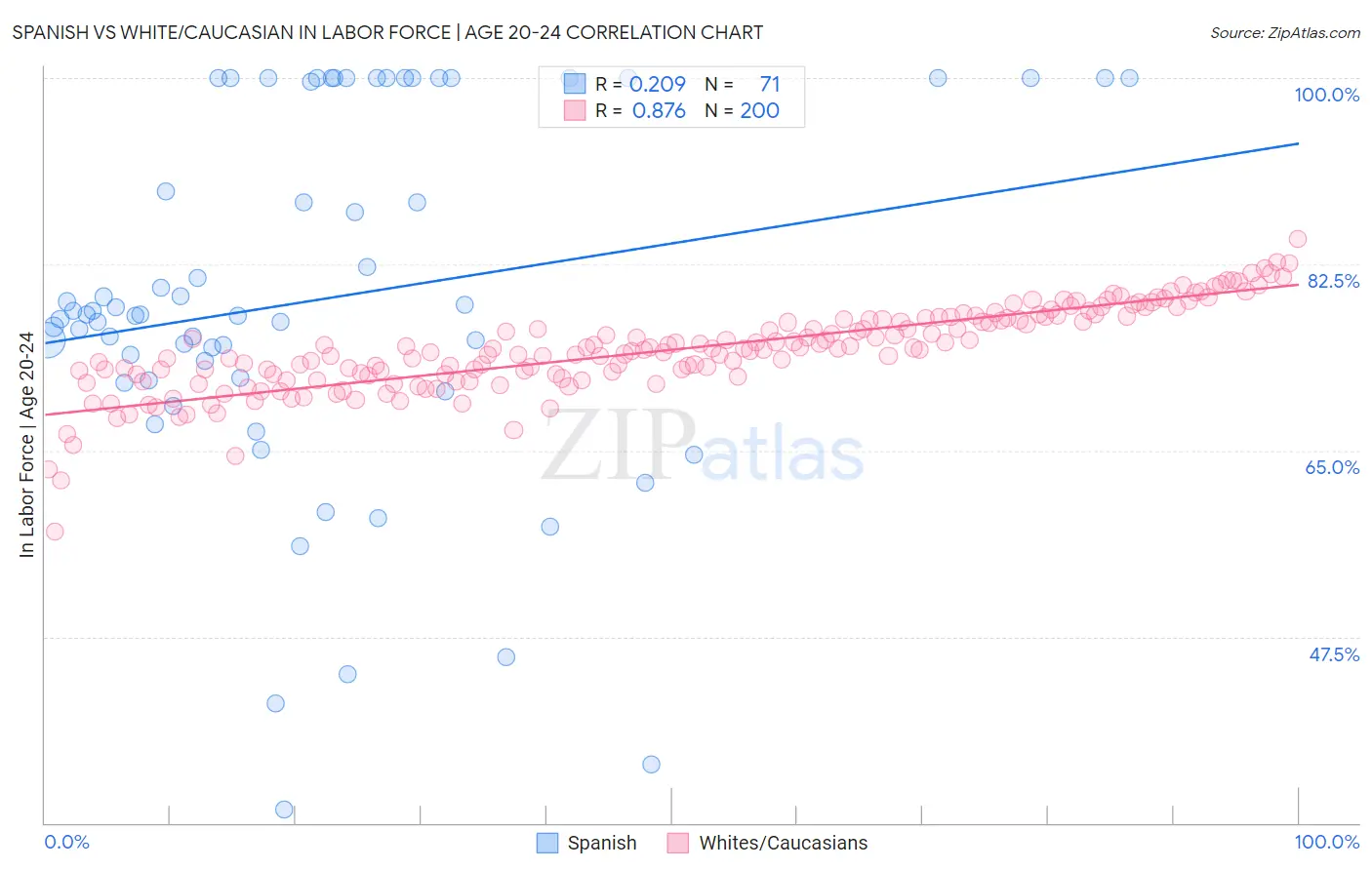 Spanish vs White/Caucasian In Labor Force | Age 20-24