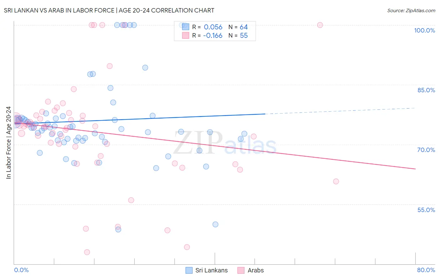 Sri Lankan vs Arab In Labor Force | Age 20-24