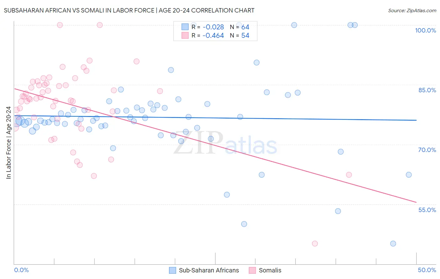 Subsaharan African vs Somali In Labor Force | Age 20-24
