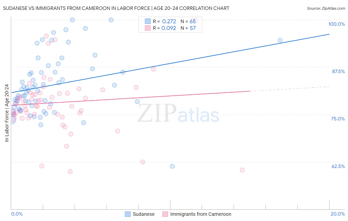 Sudanese vs Immigrants from Cameroon In Labor Force | Age 20-24