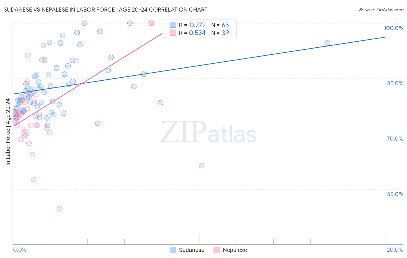 Sudanese vs Nepalese In Labor Force | Age 20-24