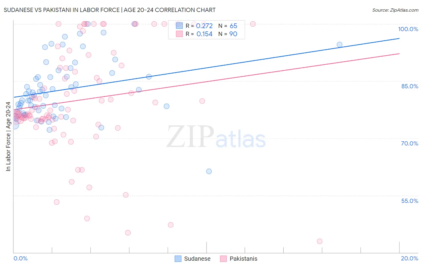 Sudanese vs Pakistani In Labor Force | Age 20-24