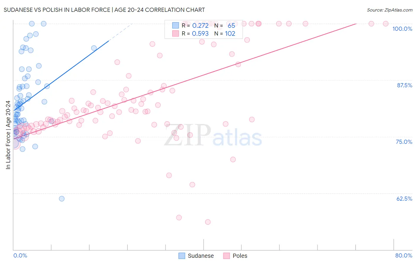 Sudanese vs Polish In Labor Force | Age 20-24