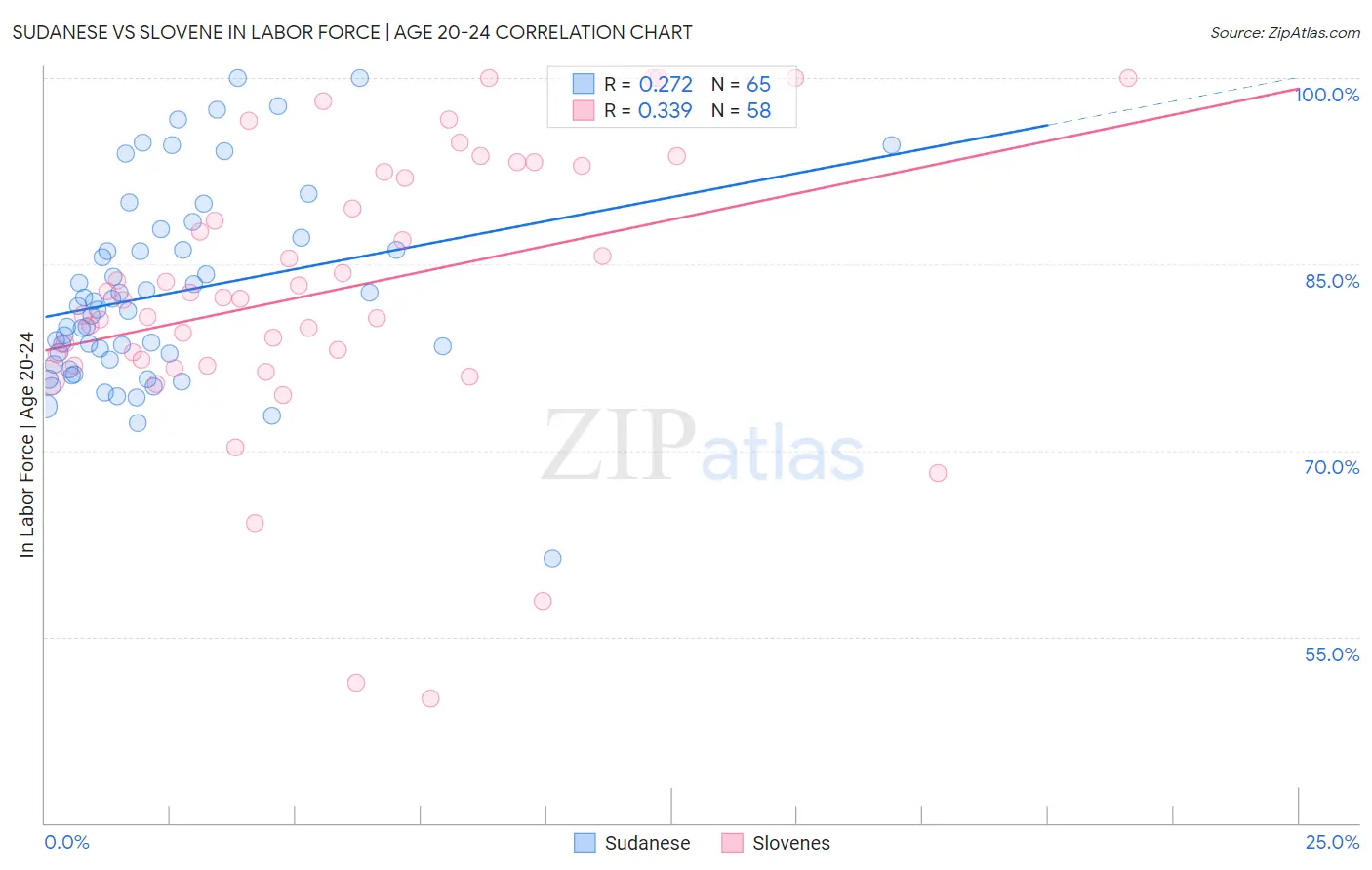 Sudanese vs Slovene In Labor Force | Age 20-24