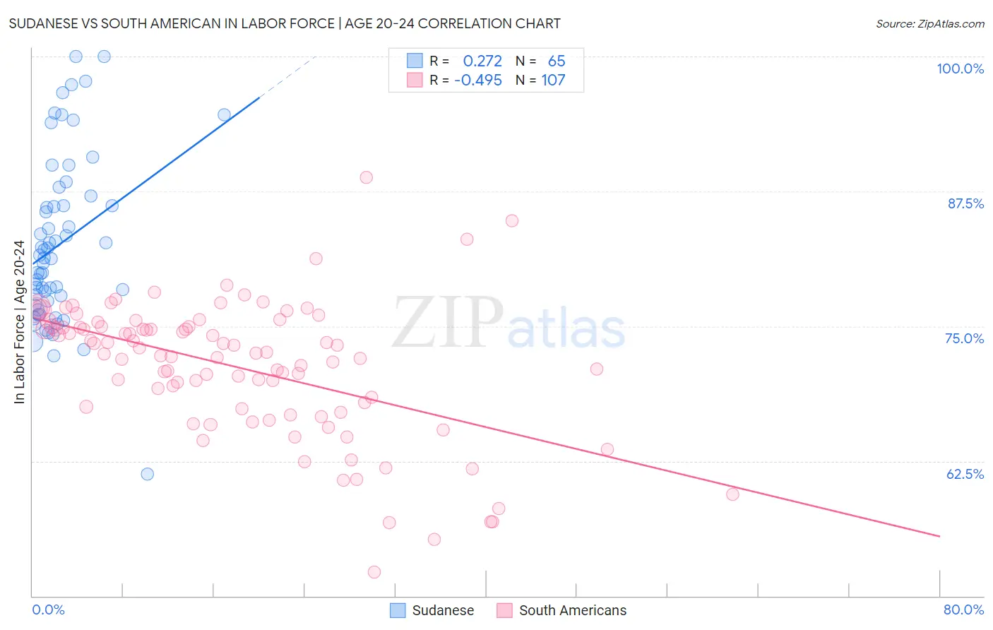 Sudanese vs South American In Labor Force | Age 20-24