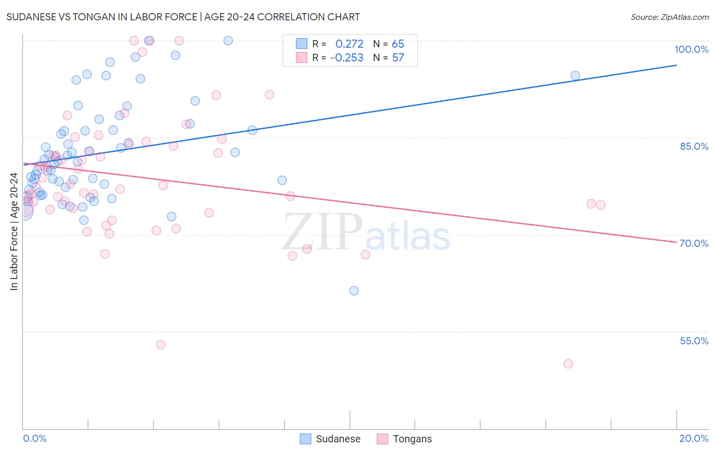 Sudanese vs Tongan In Labor Force | Age 20-24