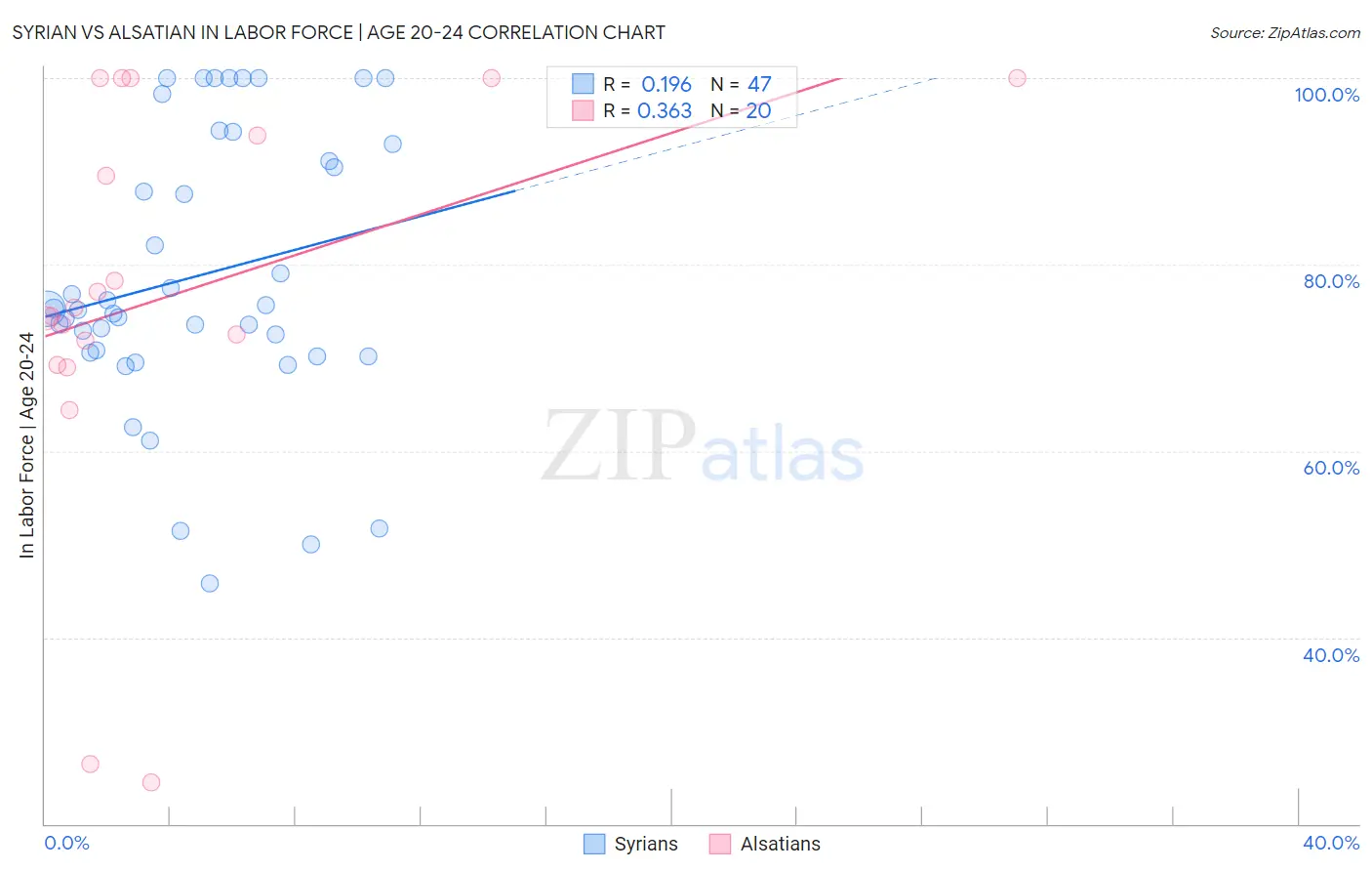 Syrian vs Alsatian In Labor Force | Age 20-24