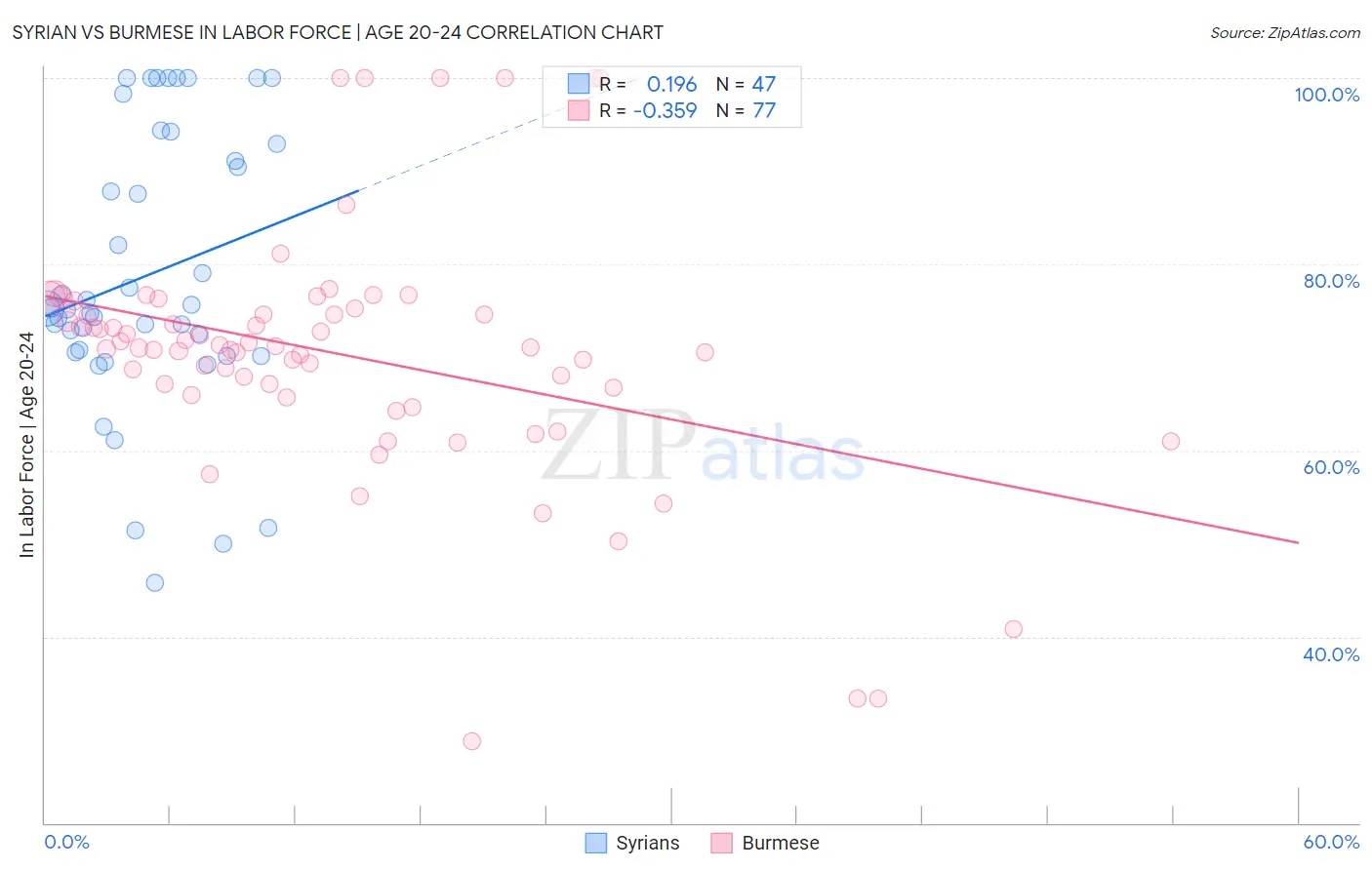 Syrian vs Burmese In Labor Force | Age 20-24