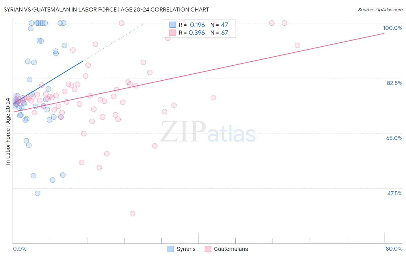 Syrian vs Guatemalan In Labor Force | Age 20-24