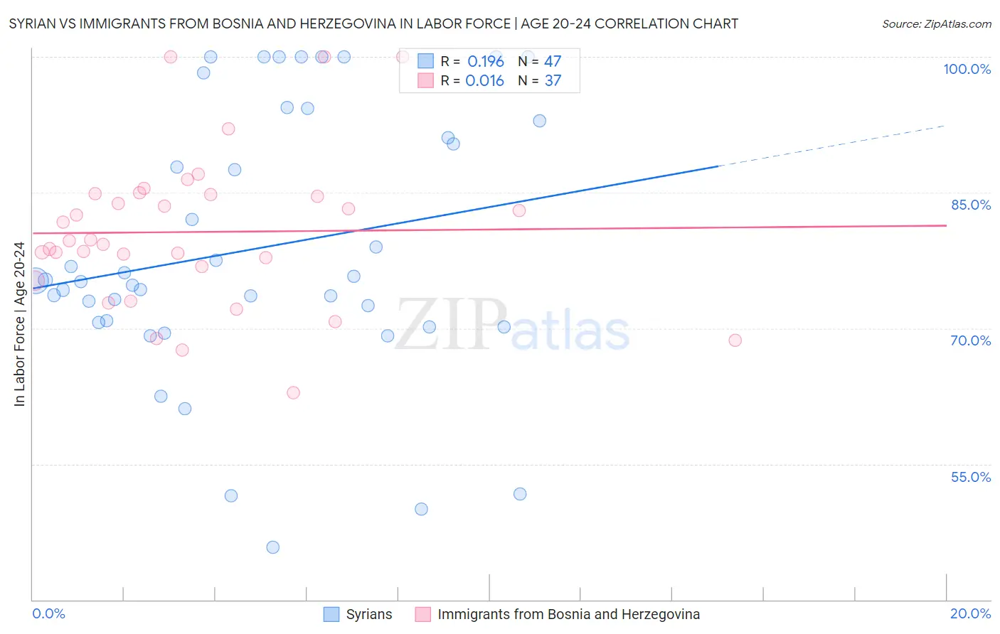 Syrian vs Immigrants from Bosnia and Herzegovina In Labor Force | Age 20-24