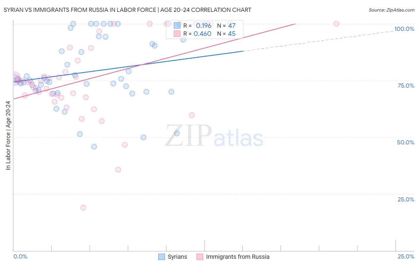 Syrian vs Immigrants from Russia In Labor Force | Age 20-24