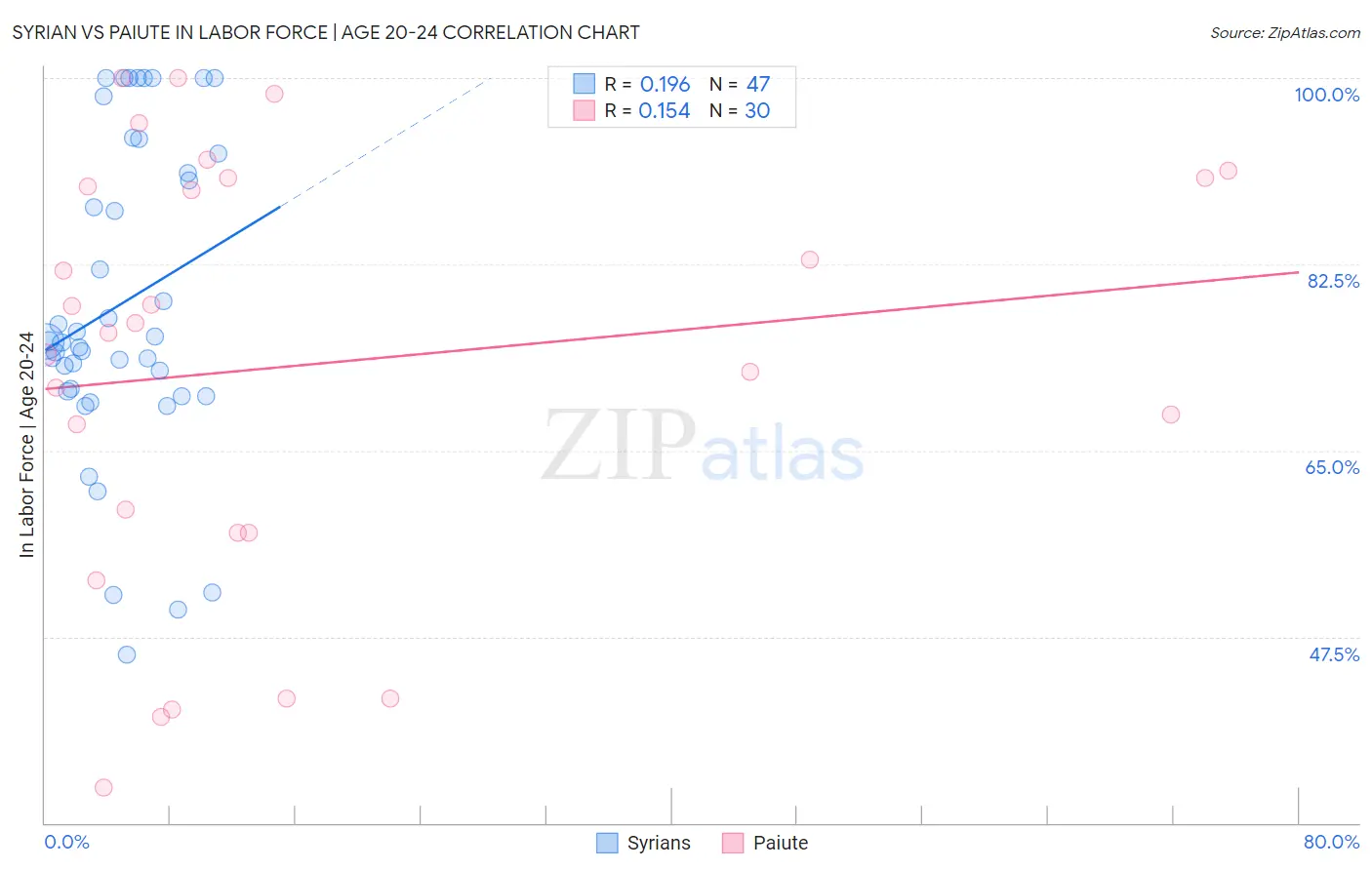Syrian vs Paiute In Labor Force | Age 20-24