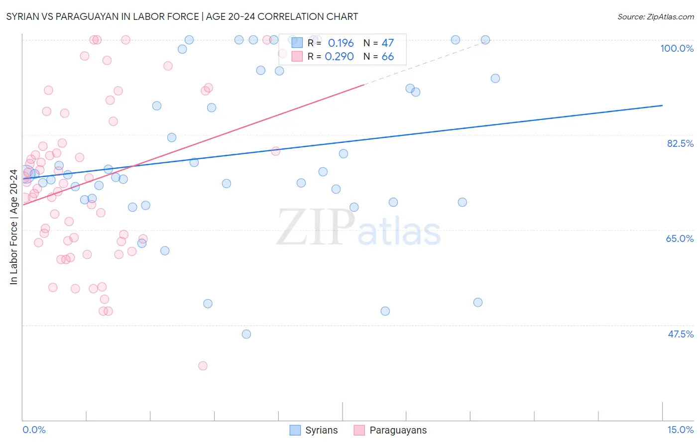 Syrian vs Paraguayan In Labor Force | Age 20-24
