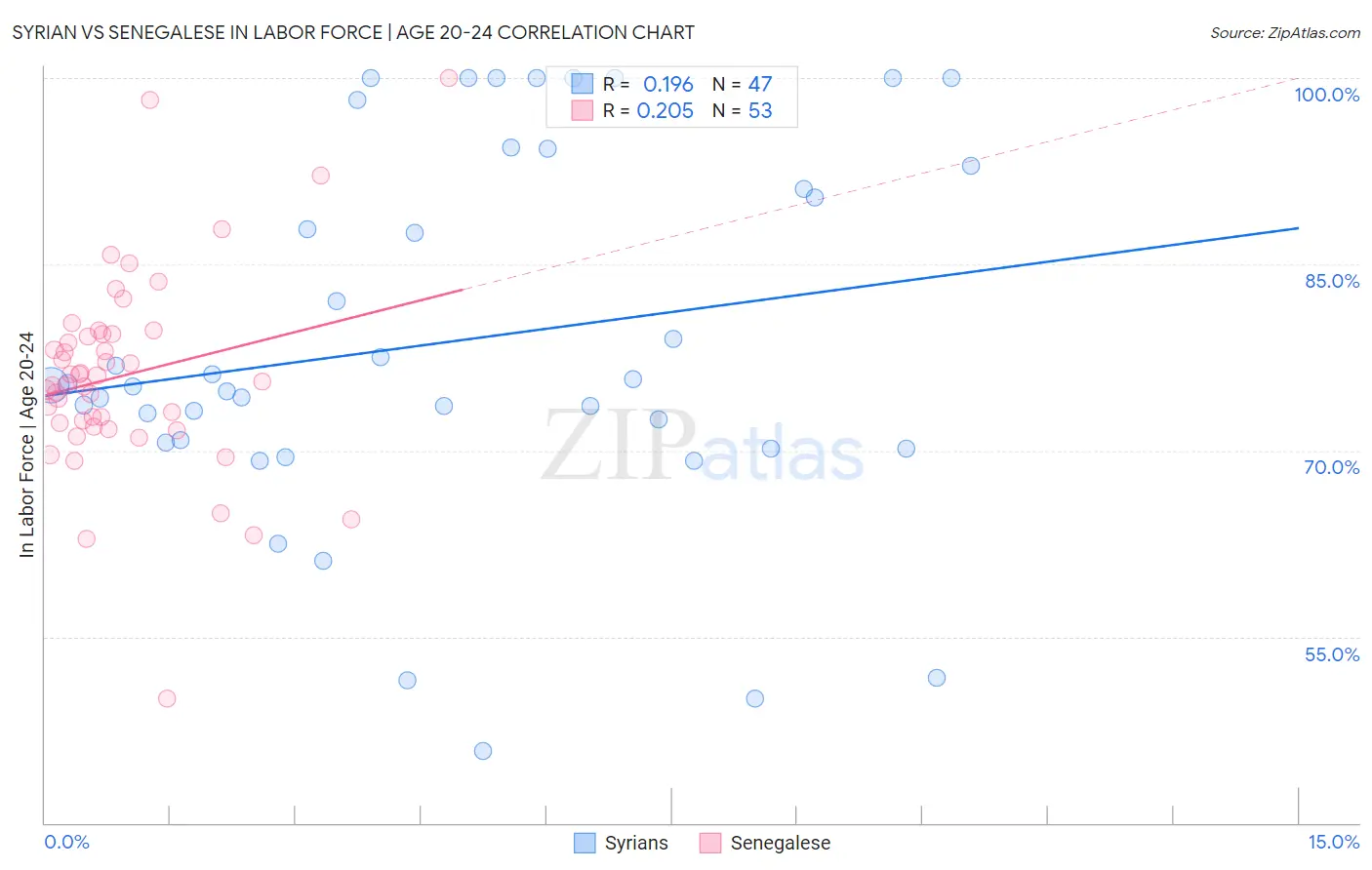 Syrian vs Senegalese In Labor Force | Age 20-24