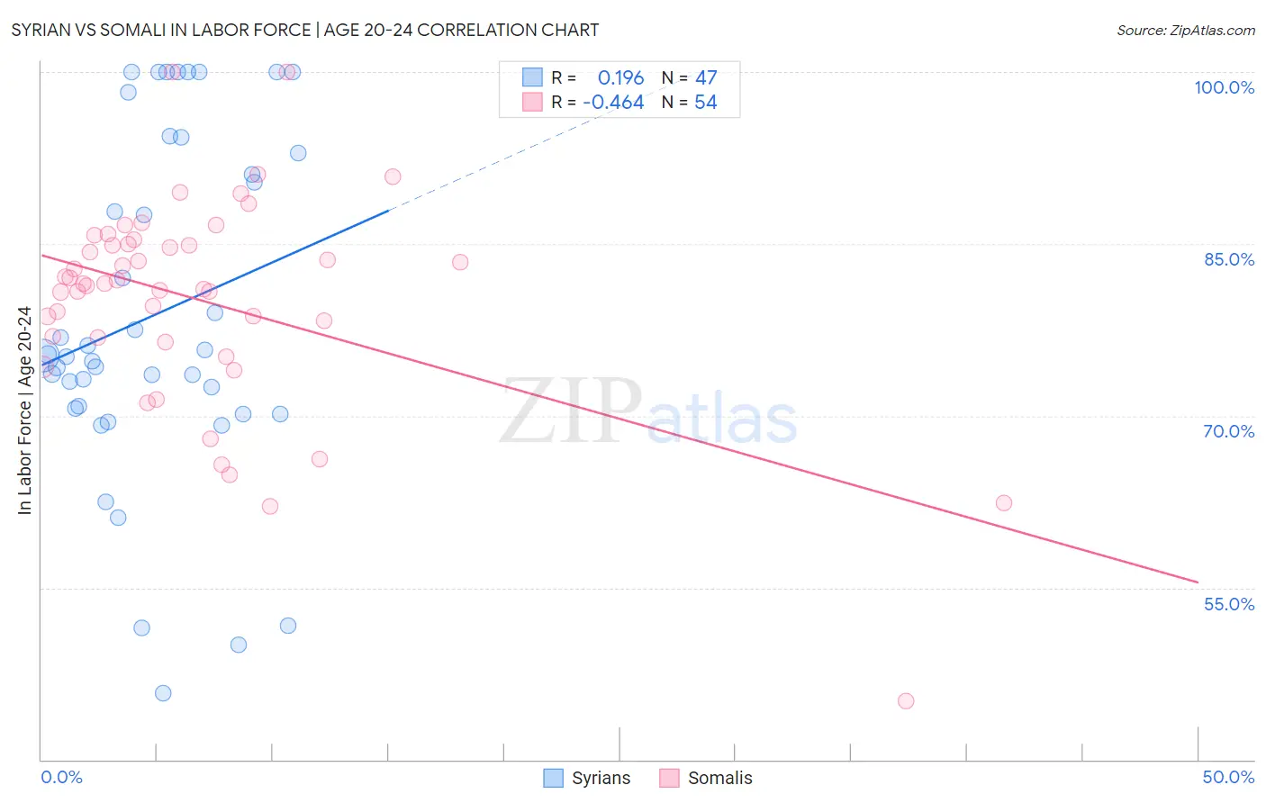 Syrian vs Somali In Labor Force | Age 20-24