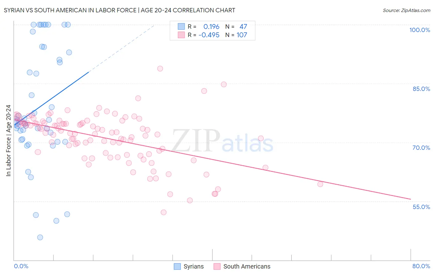 Syrian vs South American In Labor Force | Age 20-24