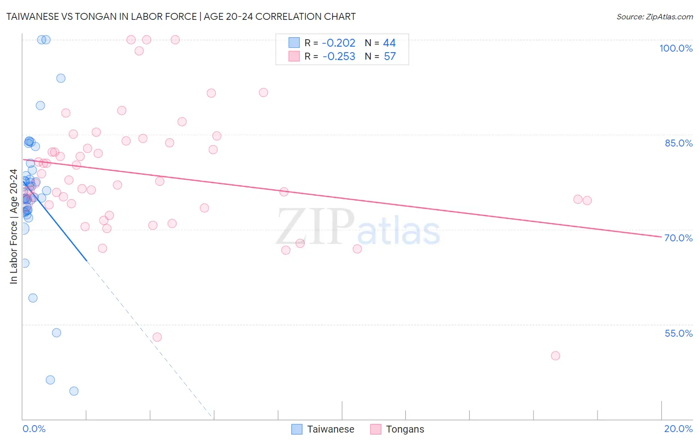 Taiwanese vs Tongan In Labor Force | Age 20-24