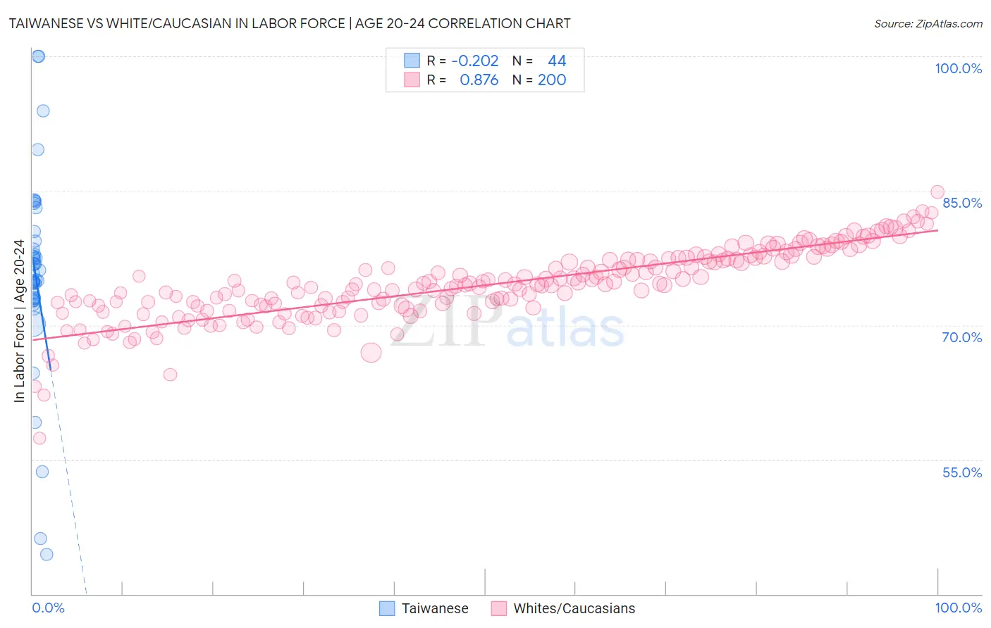 Taiwanese vs White/Caucasian In Labor Force | Age 20-24