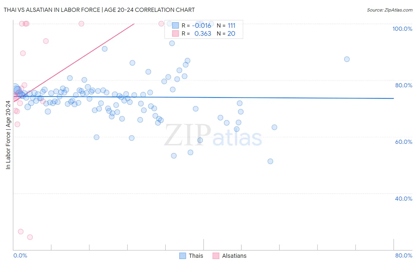 Thai vs Alsatian In Labor Force | Age 20-24
