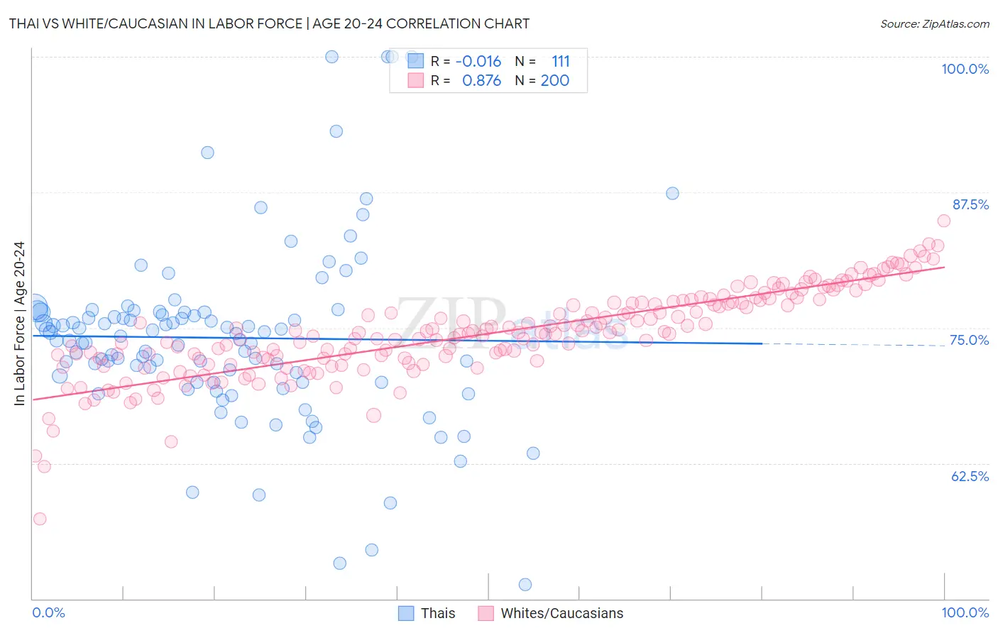 Thai vs White/Caucasian In Labor Force | Age 20-24