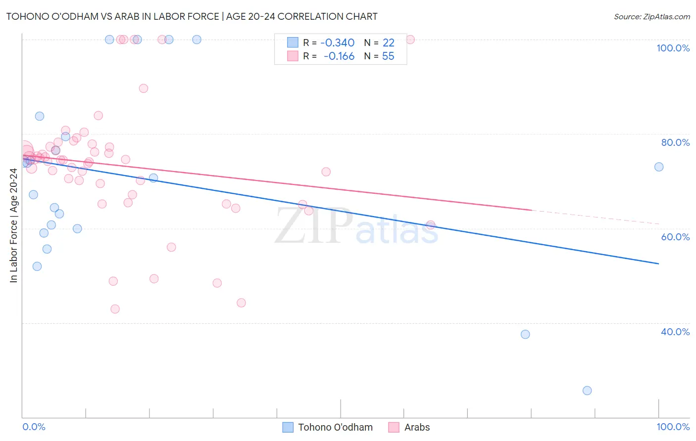 Tohono O'odham vs Arab In Labor Force | Age 20-24