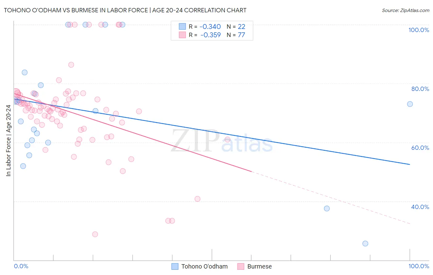 Tohono O'odham vs Burmese In Labor Force | Age 20-24