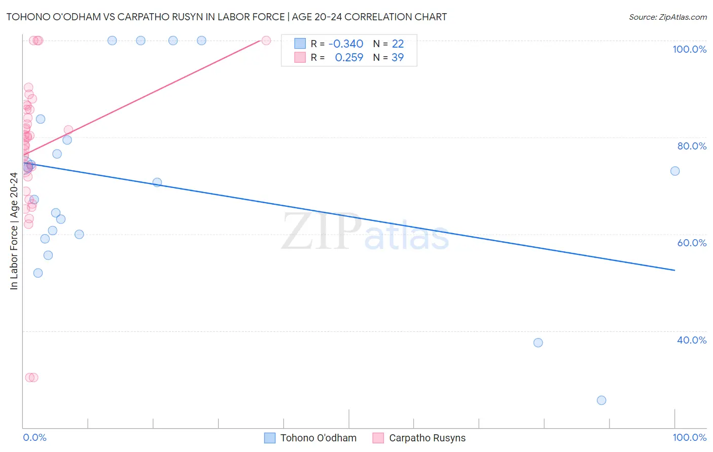 Tohono O'odham vs Carpatho Rusyn In Labor Force | Age 20-24
