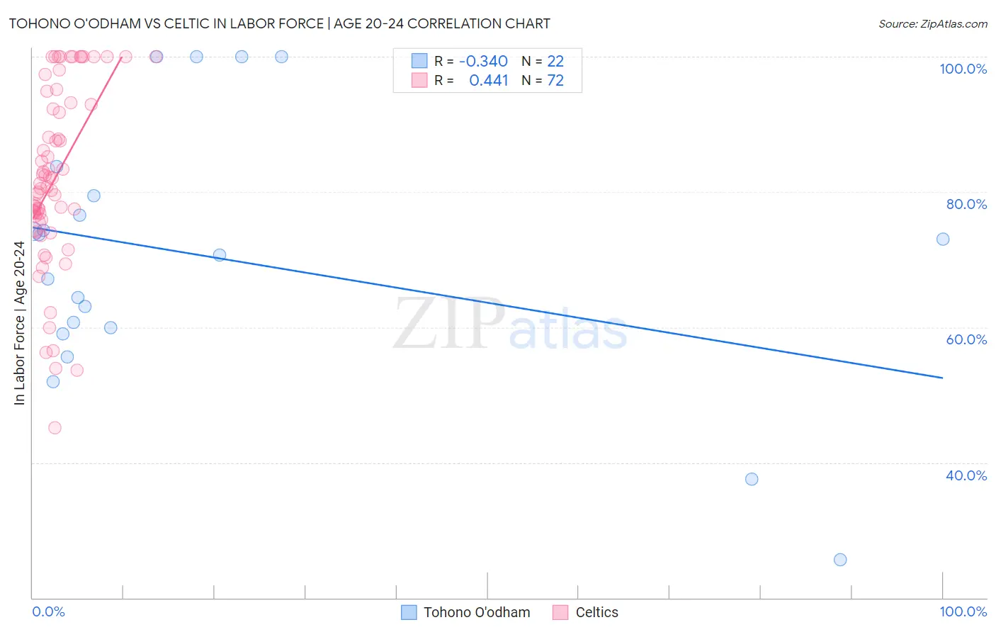 Tohono O'odham vs Celtic In Labor Force | Age 20-24