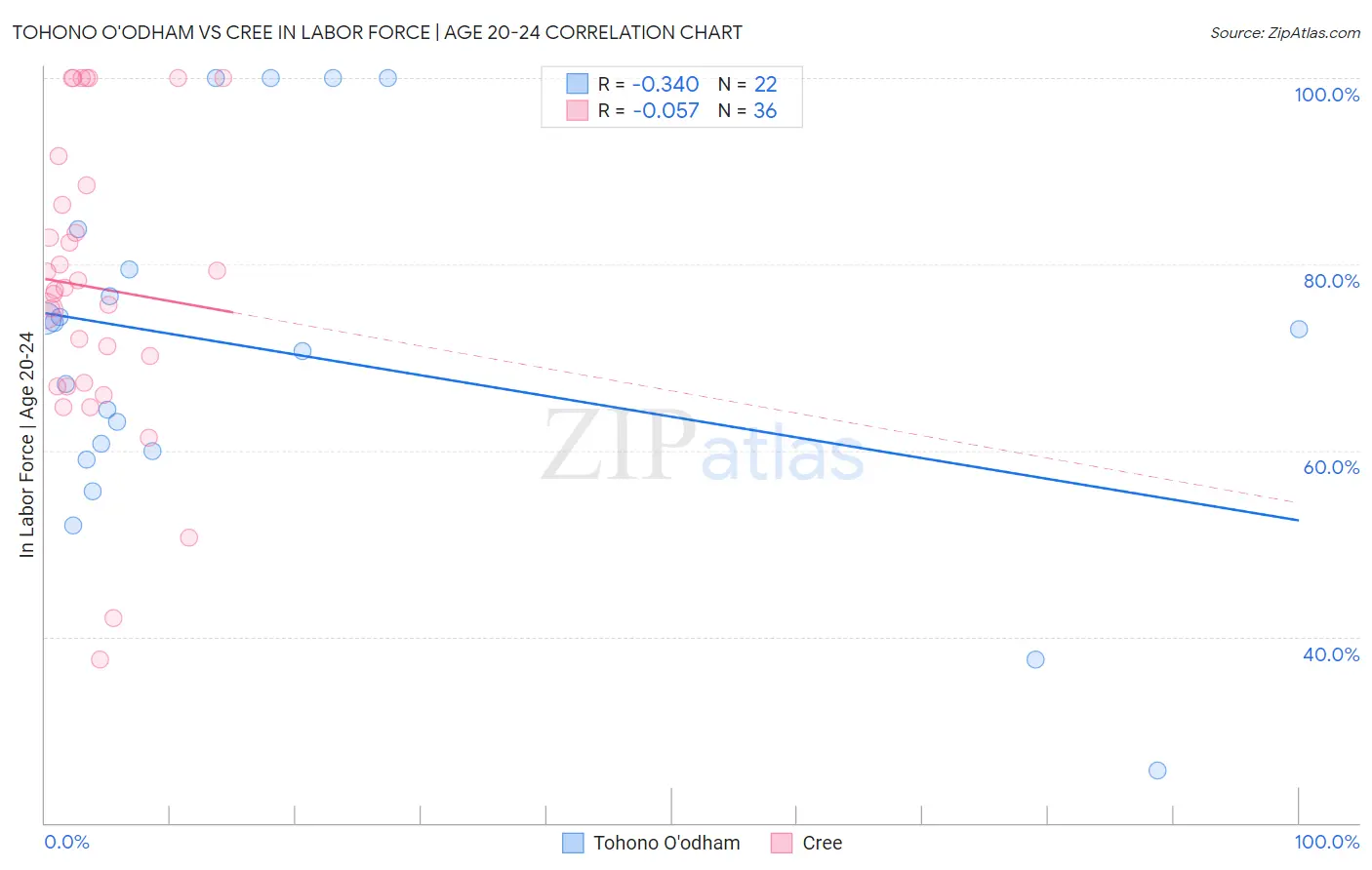 Tohono O'odham vs Cree In Labor Force | Age 20-24