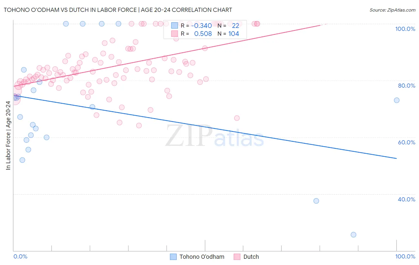 Tohono O'odham vs Dutch In Labor Force | Age 20-24