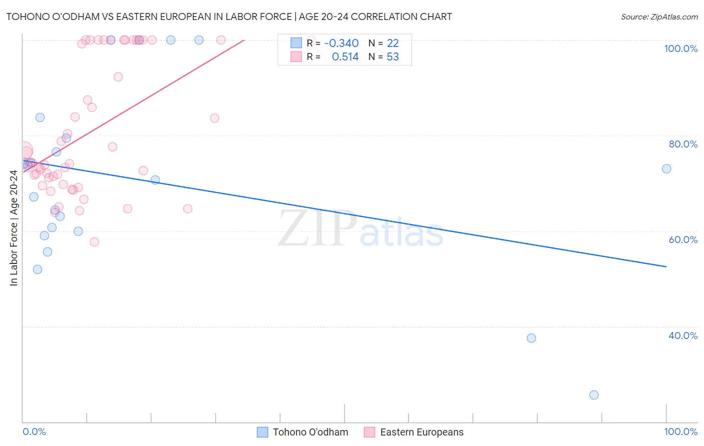 Tohono O'odham vs Eastern European In Labor Force | Age 20-24