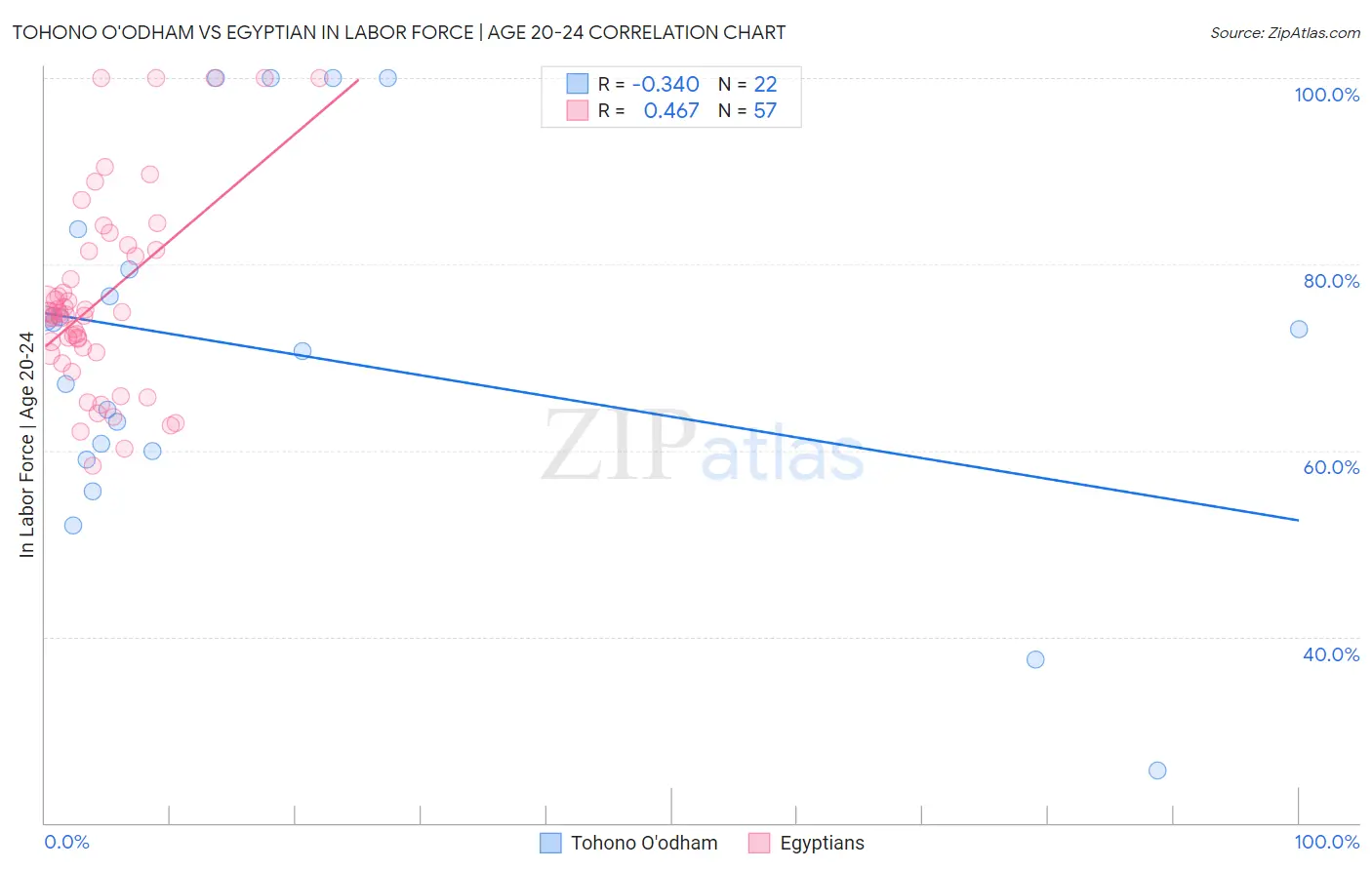 Tohono O'odham vs Egyptian In Labor Force | Age 20-24