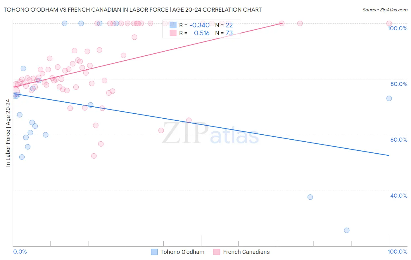Tohono O'odham vs French Canadian In Labor Force | Age 20-24