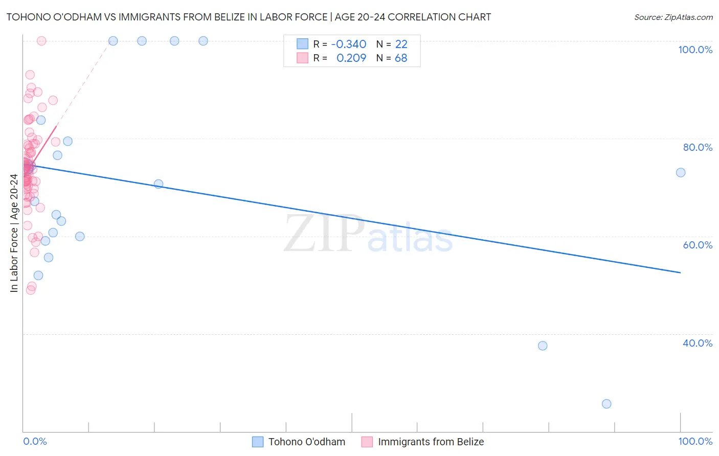 Tohono O'odham vs Immigrants from Belize In Labor Force | Age 20-24