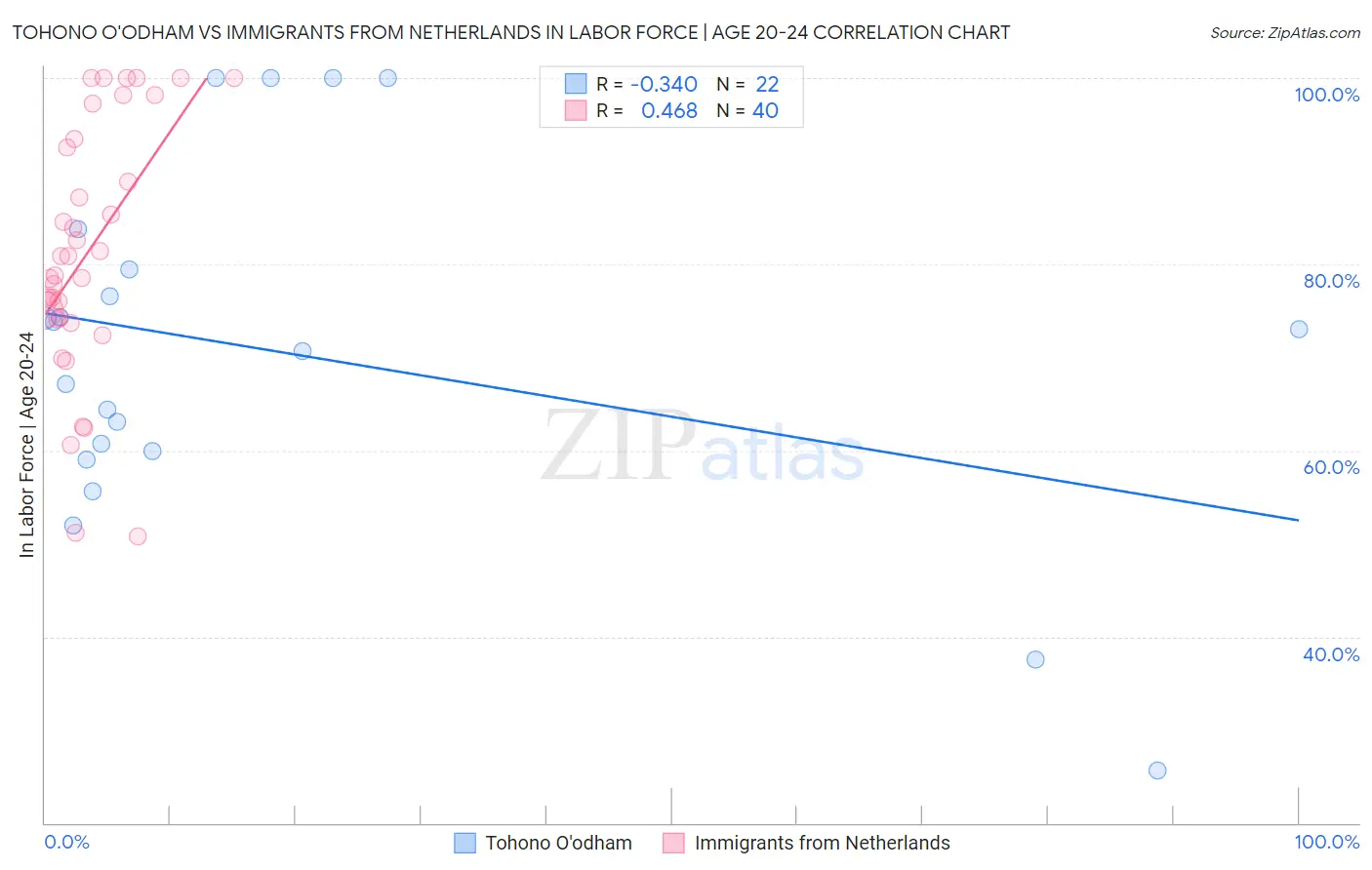 Tohono O'odham vs Immigrants from Netherlands In Labor Force | Age 20-24
