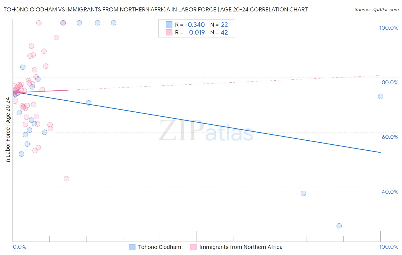 Tohono O'odham vs Immigrants from Northern Africa In Labor Force | Age 20-24