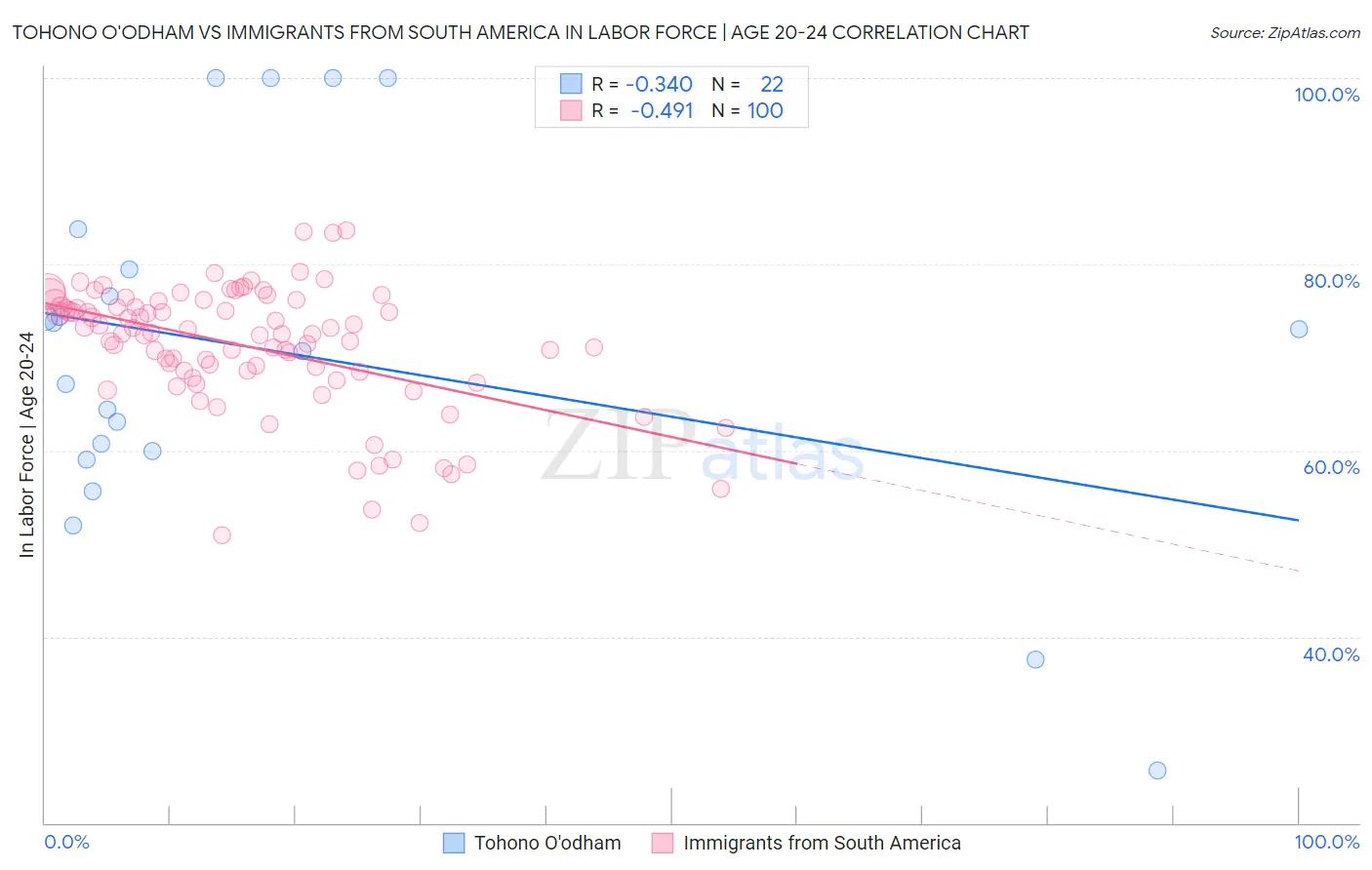 Tohono O'odham vs Immigrants from South America In Labor Force | Age 20-24