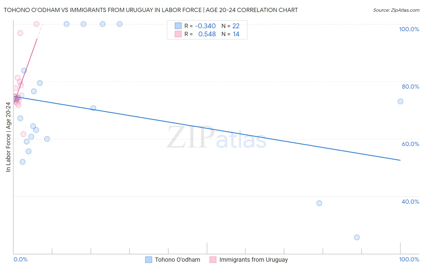 Tohono O'odham vs Immigrants from Uruguay In Labor Force | Age 20-24