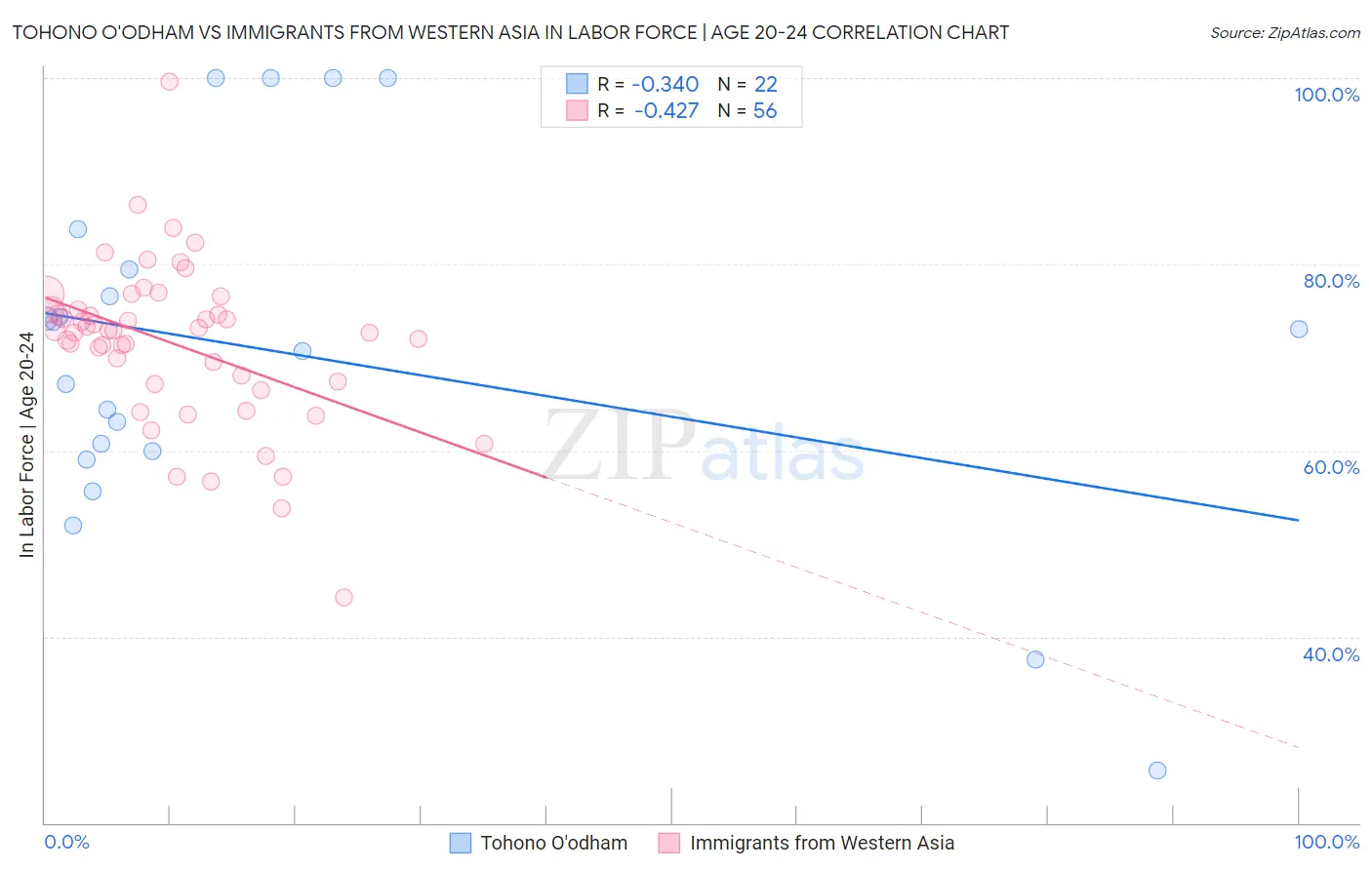 Tohono O'odham vs Immigrants from Western Asia In Labor Force | Age 20-24
