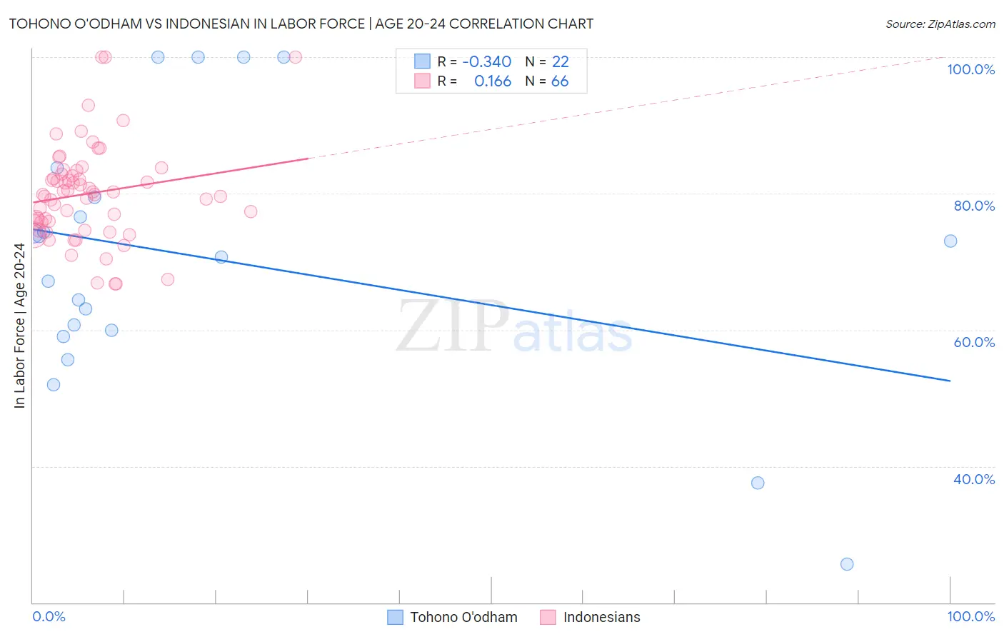 Tohono O'odham vs Indonesian In Labor Force | Age 20-24