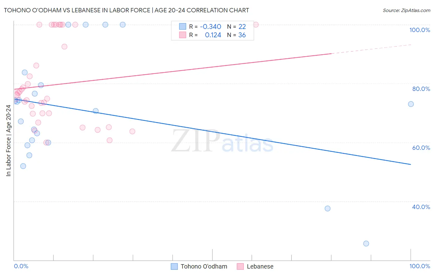 Tohono O'odham vs Lebanese In Labor Force | Age 20-24