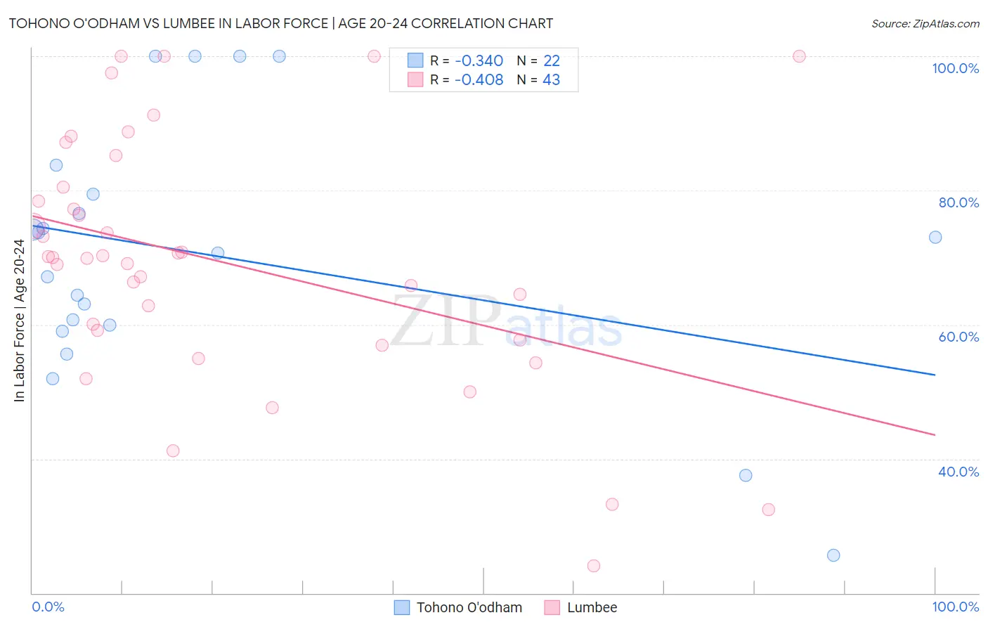 Tohono O'odham vs Lumbee In Labor Force | Age 20-24