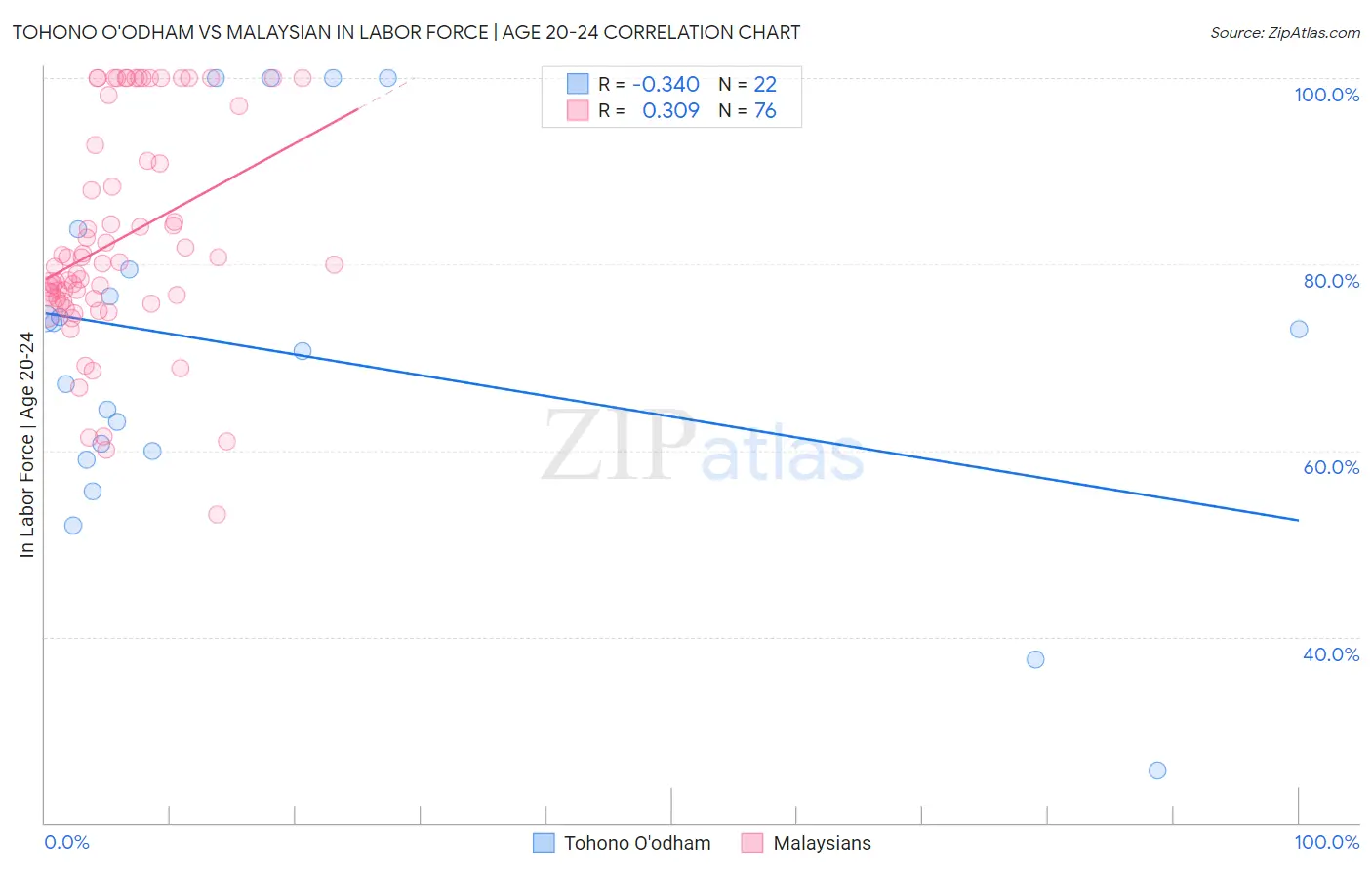 Tohono O'odham vs Malaysian In Labor Force | Age 20-24