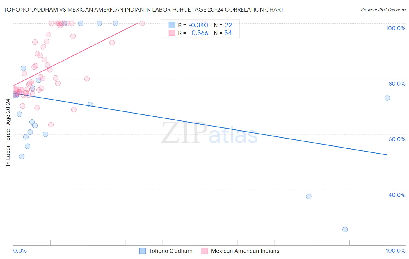 Tohono O'odham vs Mexican American Indian In Labor Force | Age 20-24