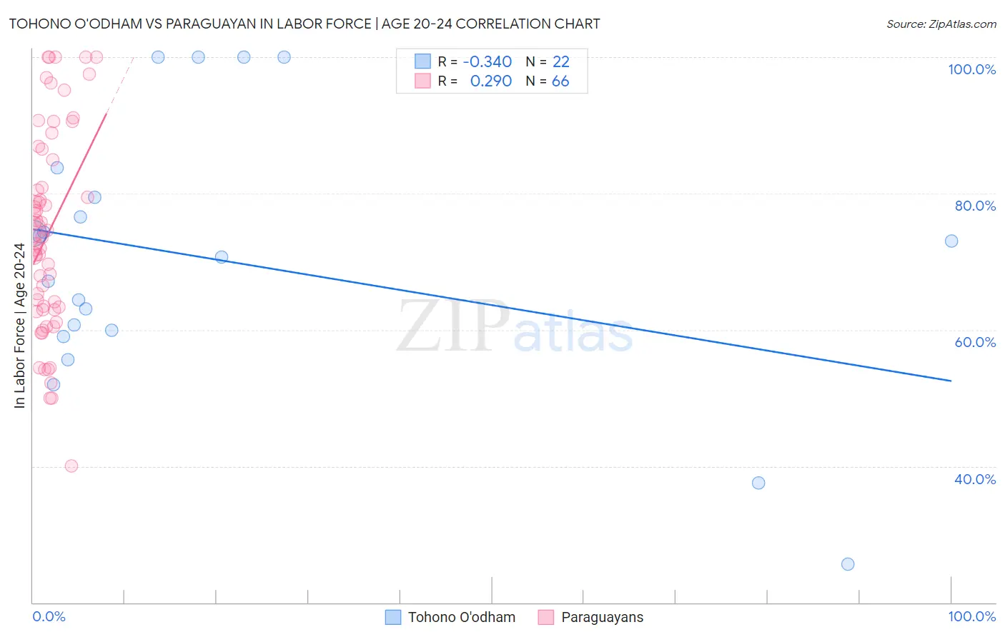 Tohono O'odham vs Paraguayan In Labor Force | Age 20-24