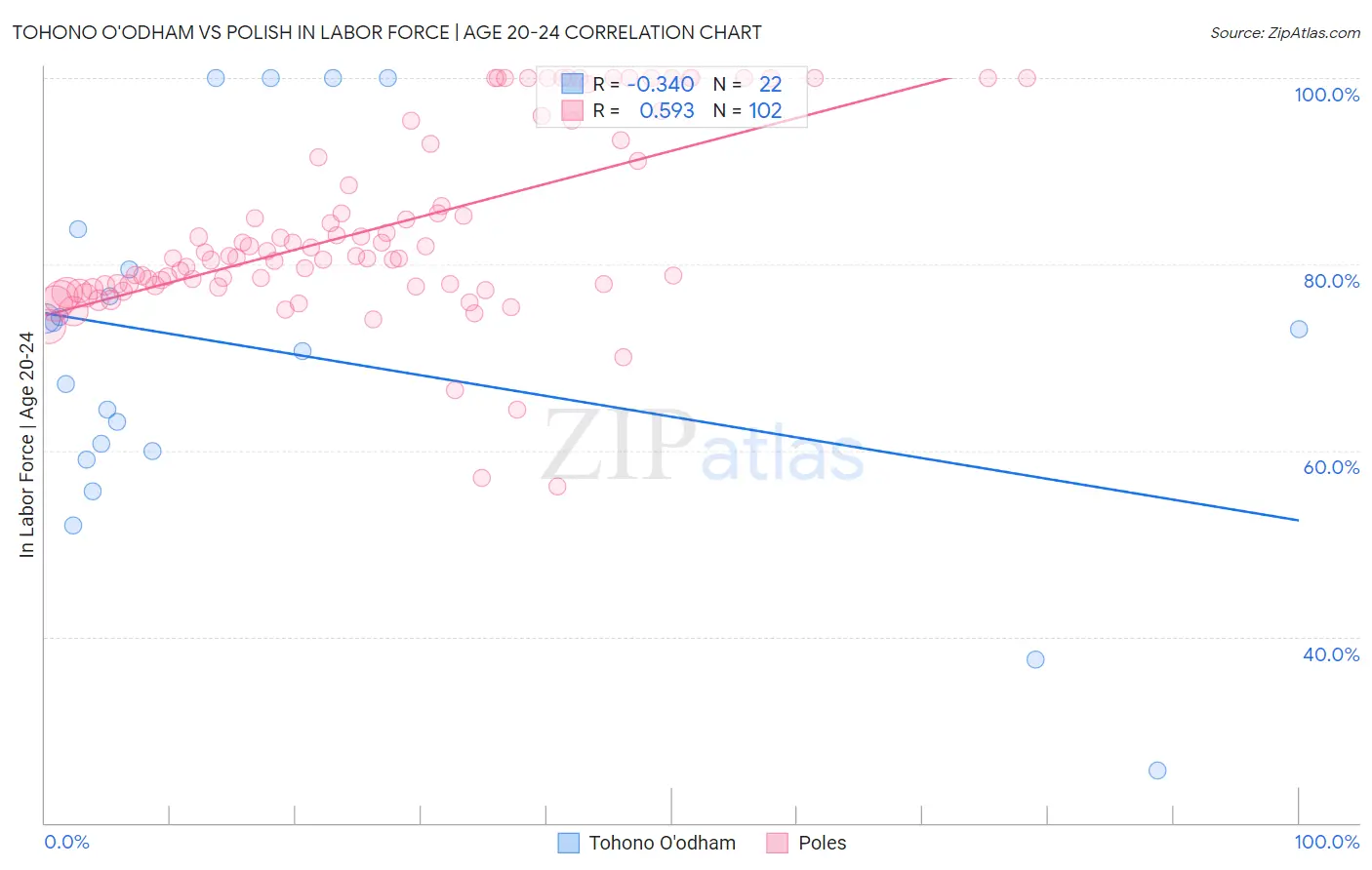 Tohono O'odham vs Polish In Labor Force | Age 20-24