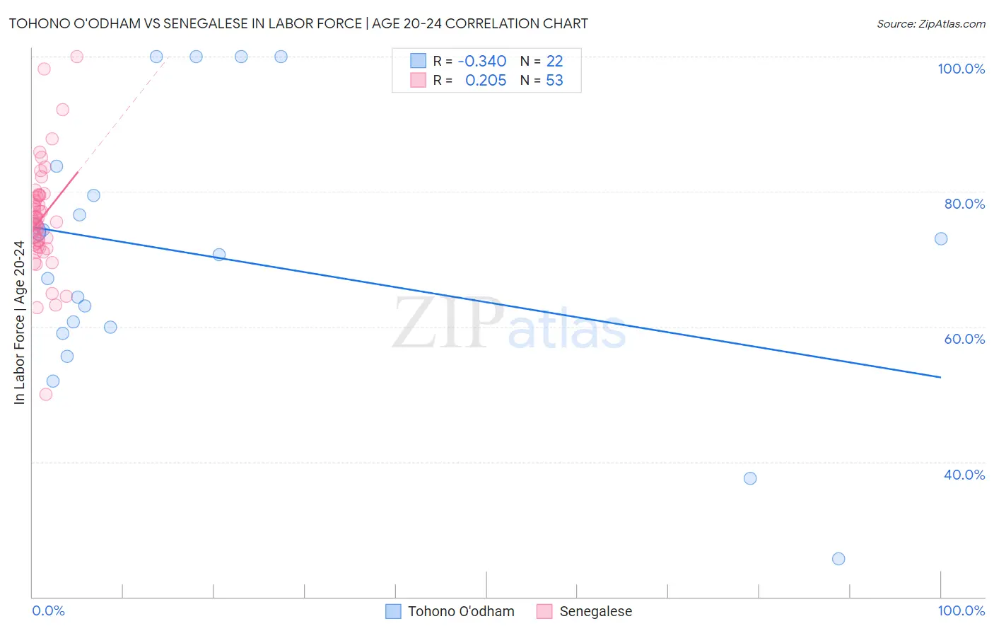 Tohono O'odham vs Senegalese In Labor Force | Age 20-24