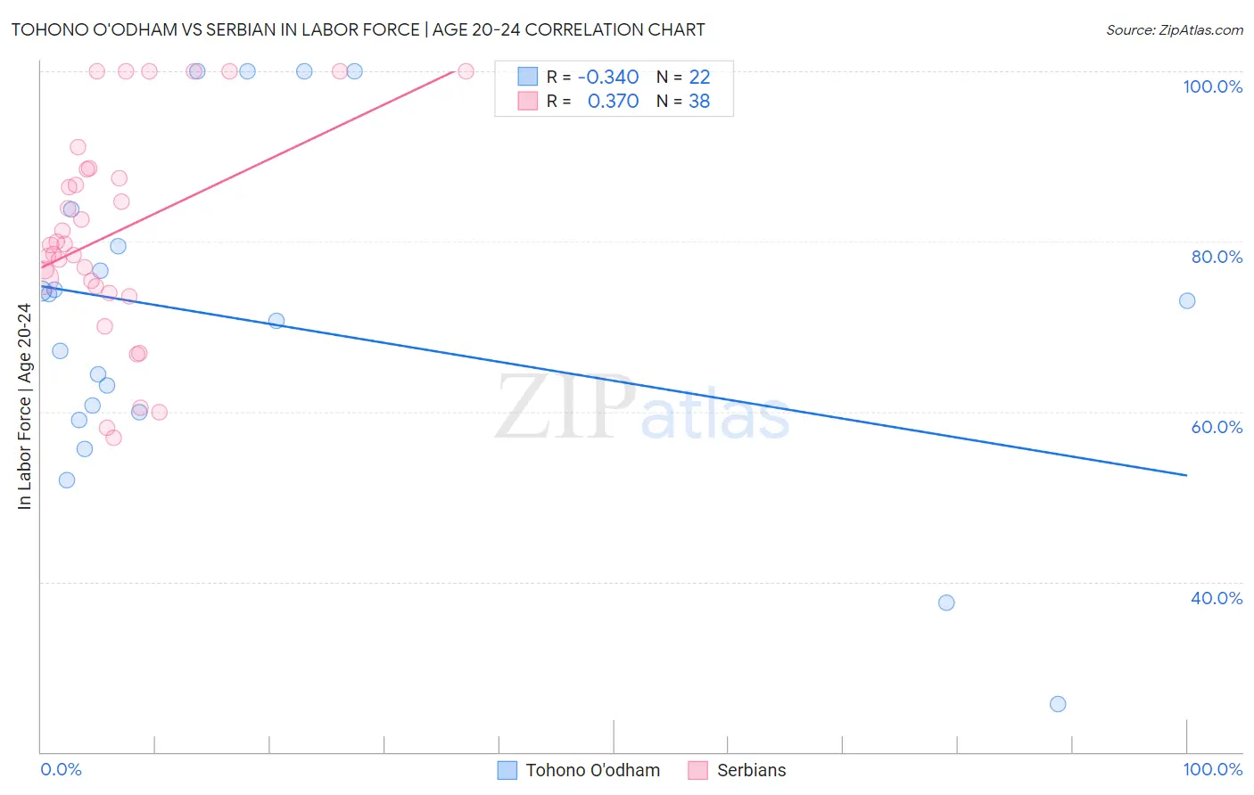 Tohono O'odham vs Serbian In Labor Force | Age 20-24