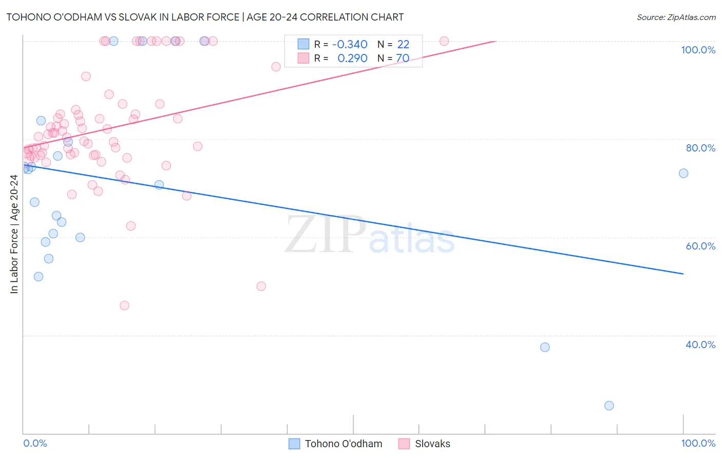 Tohono O'odham vs Slovak In Labor Force | Age 20-24