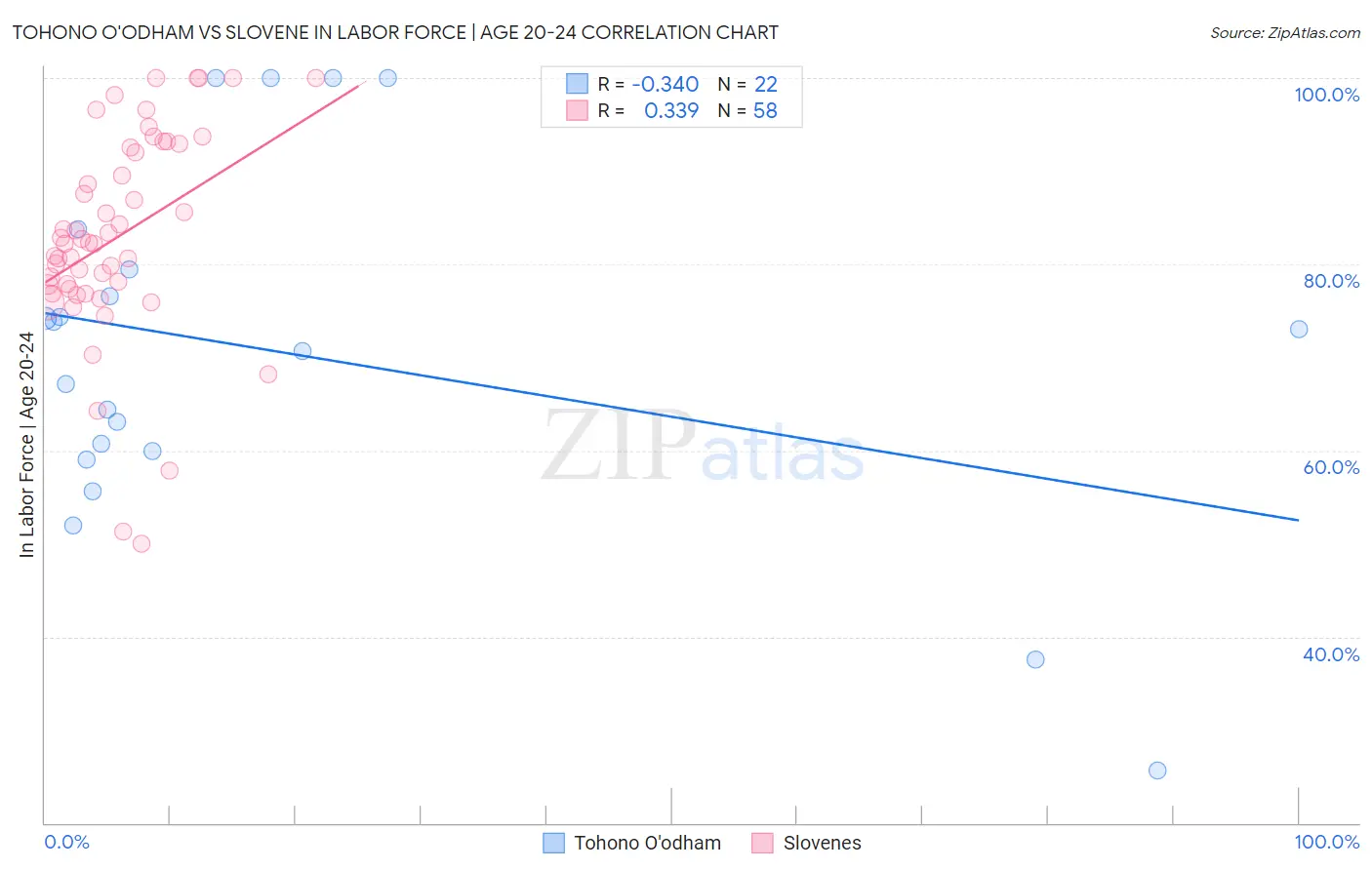 Tohono O'odham vs Slovene In Labor Force | Age 20-24
